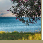 Hiking trip across Israel is planned