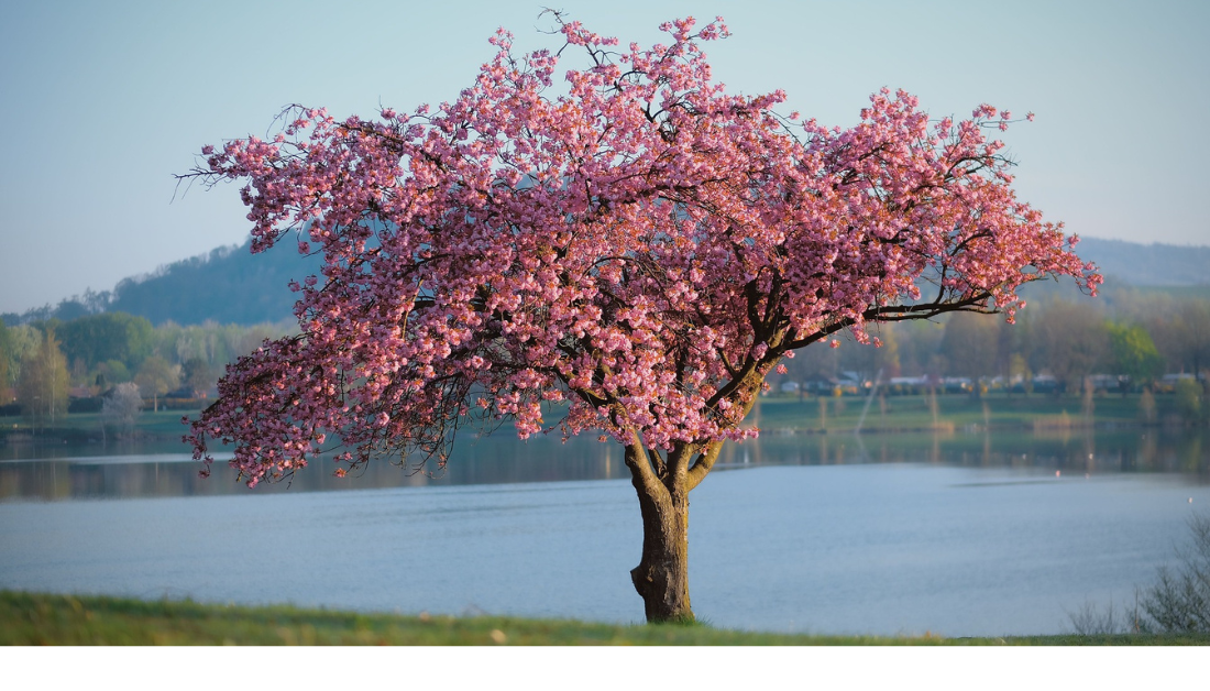 Coming events, January 2024 | Wisconsin Jewish Chronicle - Vimarsana News